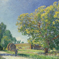 Alfred Sisley -Paris 1839 - Moret-sur-Loing 1899-. A Forest Clearing -1895-. Oil on canvas. 56.4 ...