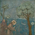 Saint Francis of Assisi preaching to the birds. Giotto.