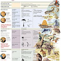 Geological eons